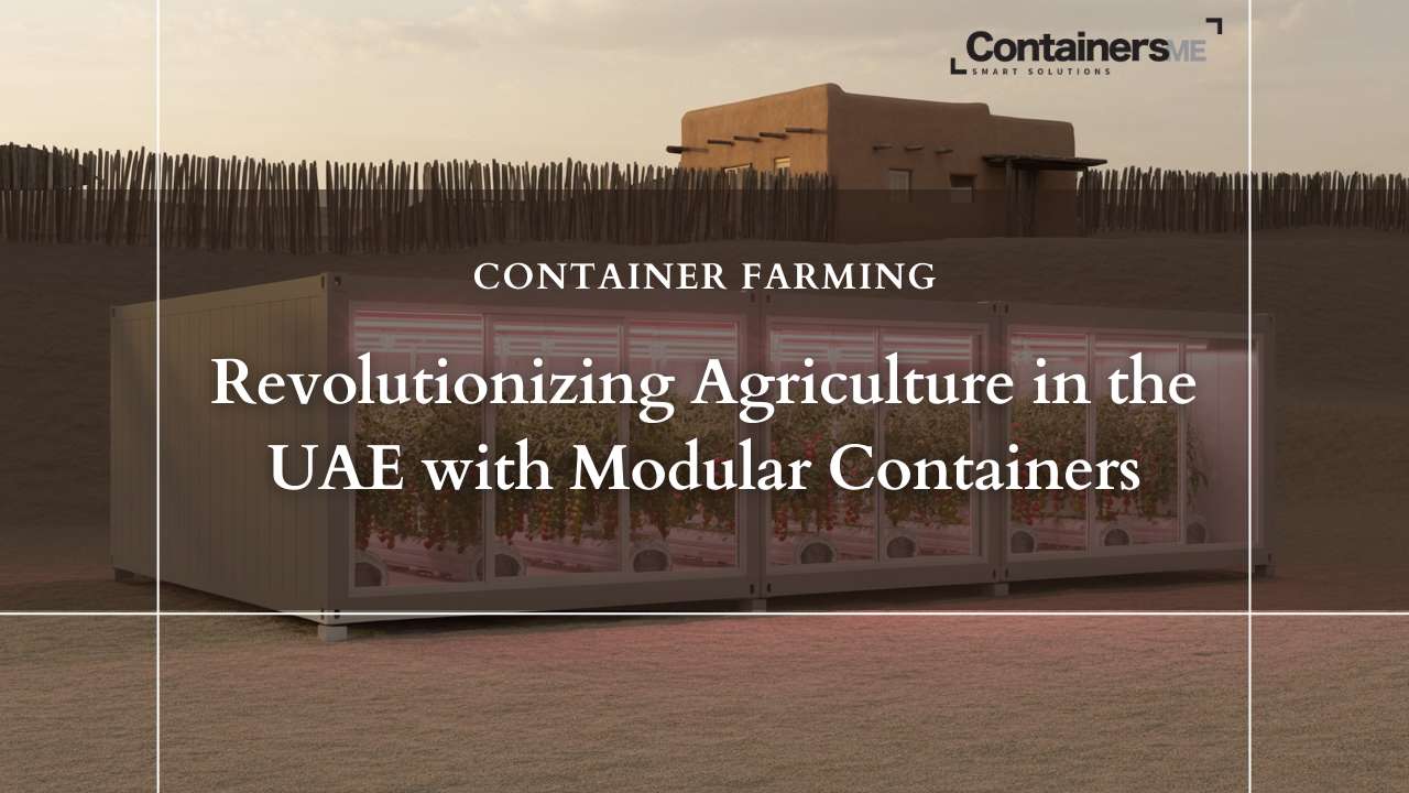 cultivating tomato using container farming method in a light blue container in a desert farm house in uae